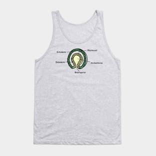 Gastrulation sketch in colour Tank Top